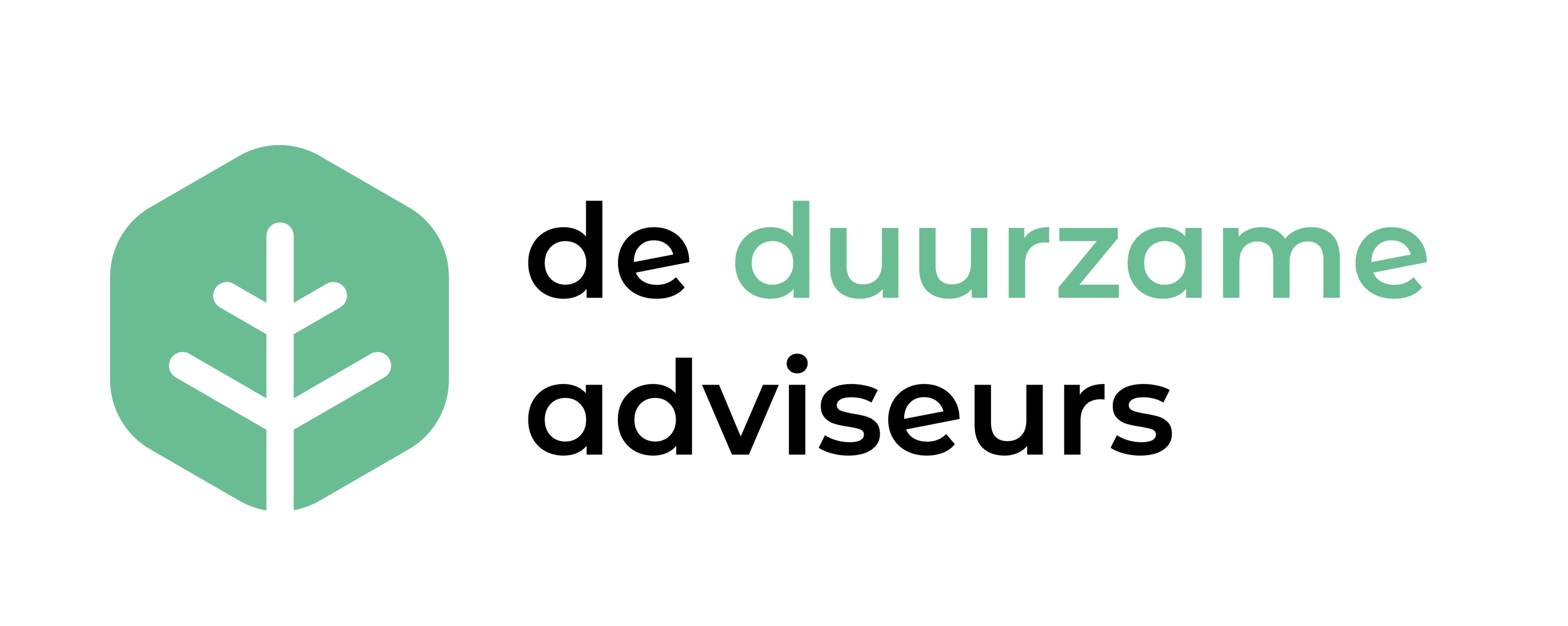 Online duurzaamheidsverslag | De Duurzame Adviseurs